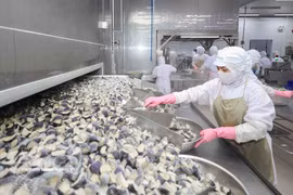 Workers process farm produce at the Coastal Fisheries Development Company (Cofidec) in Ho Chi Minh City. (Photo: VNA) 