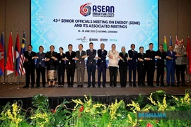 Delegates at the 43rd Senior Officials Meeting on Energy (SOME) and its associated meetings. (Photo: Bernama)