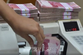 An employee at a foreign exchange office counts Indonesian rupiah banknotes. (Photo: AFP/VNA)