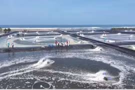 Shrimp farming ponds in Kebumen, Central Java, Indonesia. (Photo: VNA)