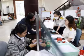 Citizens complete taxation procedures in Ho Chi Minh City. (Photo: thanhnien.vn)