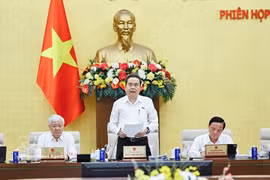 NA Chairman Tran Thanh Man speaks at the session. (Photo: VNA)