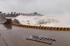 High waves in Ly Son island, Quang Ngai province due to Typhoon Kalmaegi. (Photo: VNA)