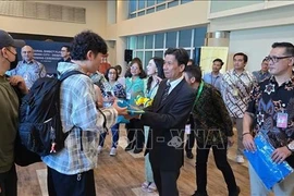 Tourists land in Indonesia following the flight (Photo: VNA)