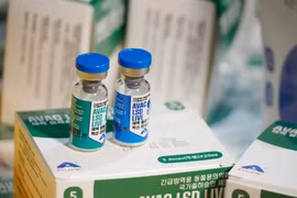 The export of 1.1 million doses of vaccine lumpy skin disease (LSD) to the Republic of Korea marks an important milestone for Vietnam’s veterinary vaccine industry. (Photo: nongnghiepmoitruong.vn)