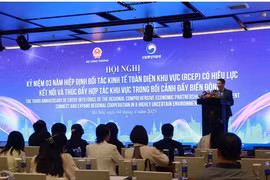 Director of the MoIT’s Department of Multilateral Trade Policy Le Trieu Dung speaks at the conference. (Photo: VNA)