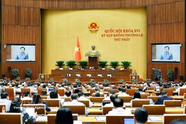 An overview of the discussion on August 6. (Photo: VNA)