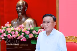 Politburo member, Permanent member of the Communist Party of Vietnam (CPV) Central Committee's Secretariat Tran Cam Tu speaks at the meeting. (Photo: VNA)