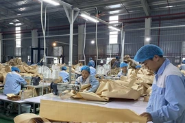 Producing packaging materials for export in Tuyen Quang (Photo: VNA)