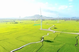 A wind farm in Ninh Thuan province. Vietnam plans to develop two regional services hubs for renewable energy (Photo: VNA)