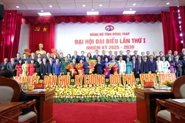 Delegates at the congress (Photo: VNA)