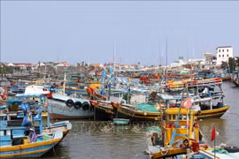 Fishing vessels are anchored along the Ca Ty river in Lam Dong, waiting to refuel and prepare for their next offshore trip. (Photo: VNA)