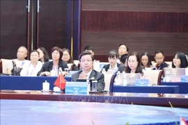 Deputy Minister of Science and Technology Bui Hoang Phuong at the ASEAN-China ministerial roundtable on AI held in Nanning on September 18. (Photo: VNA)
