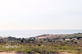 The site planned for the Ninh Thuan 1 nuclear power plant in Phuoc Dinh commune of Khanh Hoa province (Photo: VNA)