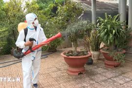 A worker fumigates a residential area. (Photo: VNA)