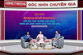 Experts discuss at the seminar. (Photo: VNA)