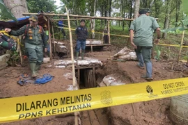 Forest rangers close an illegal gold mining tunnel during an operation in Mounts Halimun Salak National Park in Sukabumi regency, West Java. (Photo: kompas.com) 