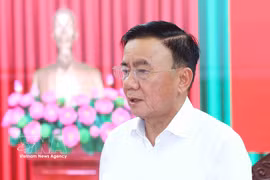 Politburo member and Standing Member of the Party Central Committee’s Secretariat Tran Cam Tu speaks at the working session with the committee’s Inspection Commission. (Photo: VNA)