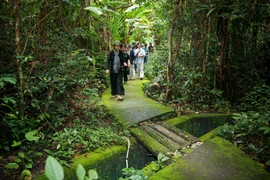 Tourists in the forest of the Lo Go – Xa Mat national park (Photo: VNA)