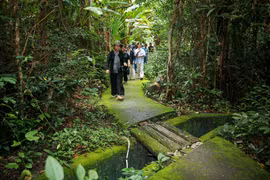 Tourists in the forest of the Lo Go – Xa Mat national park (Photo: VNA)