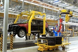 Car production at VinFast plant in Cat Hai, Hai Phong city. (Photo: VNA)