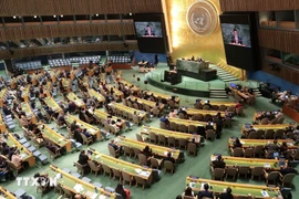 A view of the plenary session to elect members of the UNHRC for the 2026–2028 tenure. (Photo: VNA) 