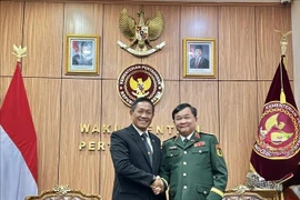 Vietnamese Deputy Minister of National Defence Sen. Lt. Gen. Hoang Xuan Chien (right) and Indonesian Defence Minister Sjafrie Sjamsoeddin at their meeting in Jakarta on September 18. (Photo: VNA)
