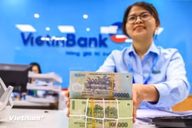 According to the current regulations, the share ownership cap by an institutional shareholder in a credit institution is reduced from 15% to 10%. (Photo: VNA) 