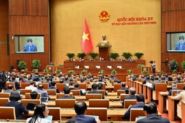 An overview of the NA's ninth extraordinary session (Photo: daibieunhandan.vn)