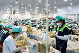 Workers in the Du Long Industrial Park, Khanh Hoa province. (Photo: VNA)