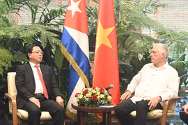 First Secretary of the Communist Party of Cuba Central Committee and President of Cuba Miguel Díaz-Canel Bermúdez (right) receives Deputy Prime Minister Ho Quoc Dung. (Photo: VNA)