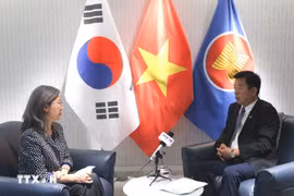 Vietnamese Ambassador to the RoK Vu Ho (R) grants an interview to the Vietnam News Agency correspondent in Seoul. (Photo: VNA)