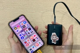 Illustrative image (Photo: laodong.vn)