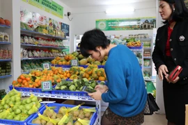The CPI in June rose by 0.48% compared to the previous month. (Illustrative photo: VNA)