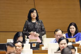 Minister of Health Dao Hong Lan speaks at the National Assembly meeting on June 18. (Photo: VNA)