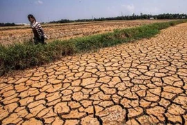 Japan proposes natural disaster prevention cooperation with ASEAN