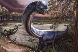 Scientists discover largest dinosaur species ever found in Thailand