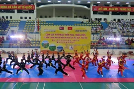 A performance of traditional Vietnamese martial arts at the exchange programme. (Photo: VNA)