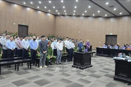 Defendants at the court (Photo: VNA)