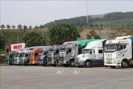 Lorries queued at the waiting yard for export at a border gate in Lao Cai province. (Photo: VNA)