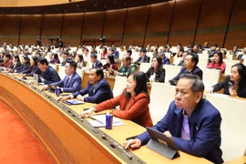 NA deputies vote to adopt the Law on Promulgation of Legal Documents (revised) (Photo: VNA)