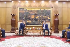A working session between Chairman of the Bac Ninh People’s Committee Pham Hoang Son and China’s JA Solar group on January 28. (Photo: VNA)