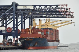 Illustrative image (Photo: VNA)