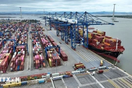 Imports and exports at Lach Huyen container port in Hai Phong city (Photo: VNA)
