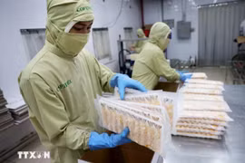 Photo: Packaging processed shrimp products for export. (Photo: VNA)
