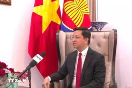 Vietnamese Ambassador to India, Nepal and Bhutan Nguyen Thanh Hai (Photo: VNA)