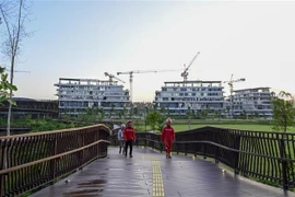 Buildings are under construction in Indonesia's new capital Nusantara. (Photo: Xinhua/VNA) 