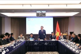 Party General Secretary To Lam speaks at the meeting (Photo: VNA)