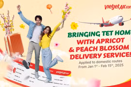 Vietjet launches the service for transporting peach and apricot blossoms on domestic flights from now until February 15, 2025 (Photo courtesy of Vietjet)