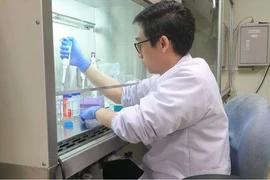 Dr. Rahmat Kurniawan at Sumatra Institute of Technology (Itera) conducts a research on compounds from mulberry plants in Bandar Lampung. (Photo: Antara)